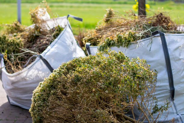 Best Office Cleanout  in Glenmora, LA